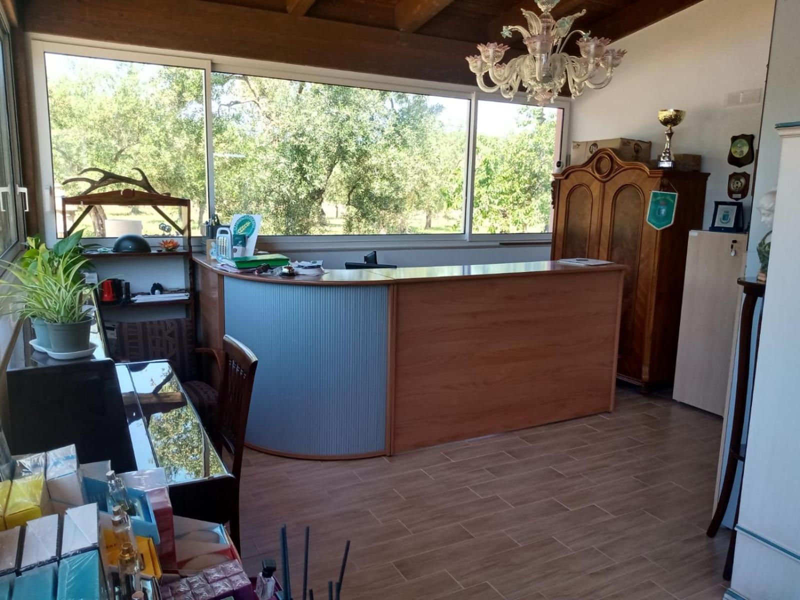 B & B Dei Nobili Bitetto Екстериор снимка